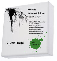 Standard - Bespannte Keilrahmen 50x120 cm Premium 2,1cm 360g